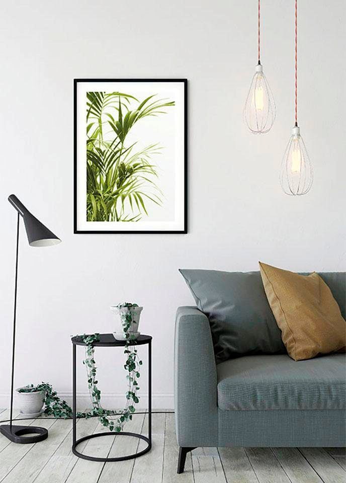 ❤ Komar Poster »Reed Leaves«, Pflanzen-Blätter, Kinderzimmer, Schlafzimmer,  Wohnzimmer entdecken im Jelmoli-Online Shop