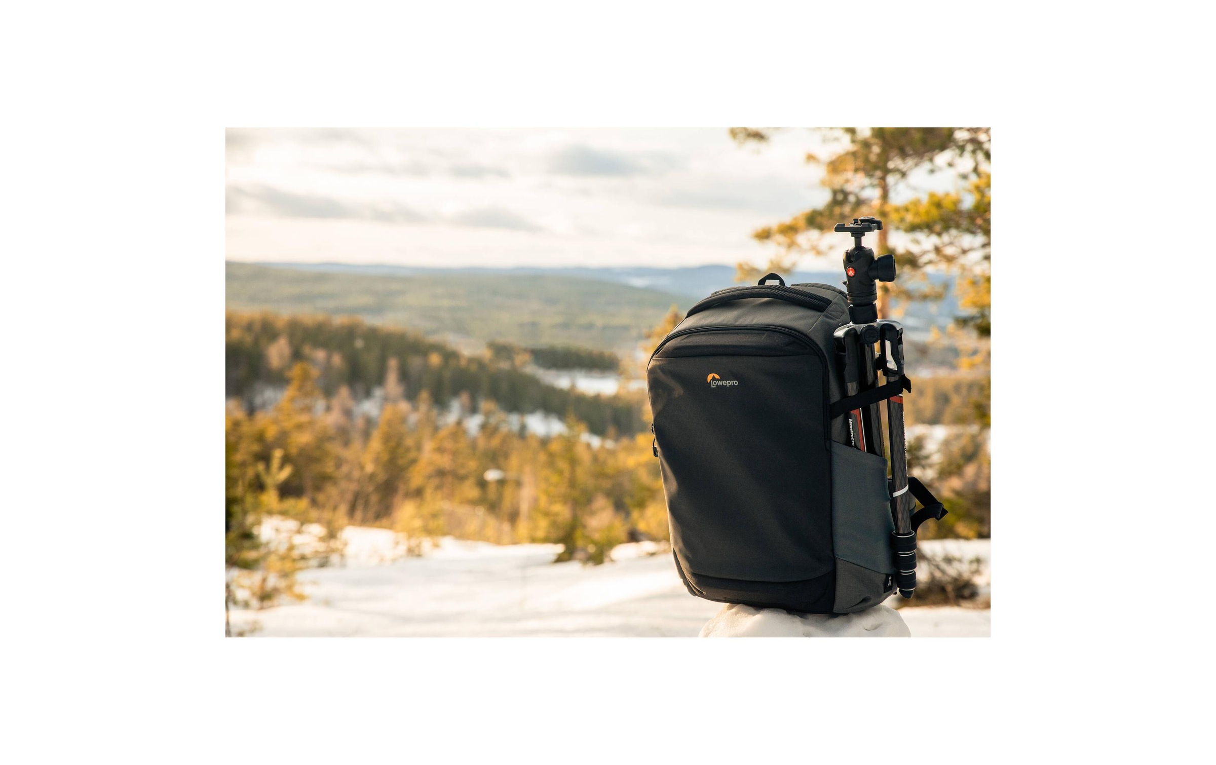 Lowepro Kameratasche »Flipside 300 AW III«
