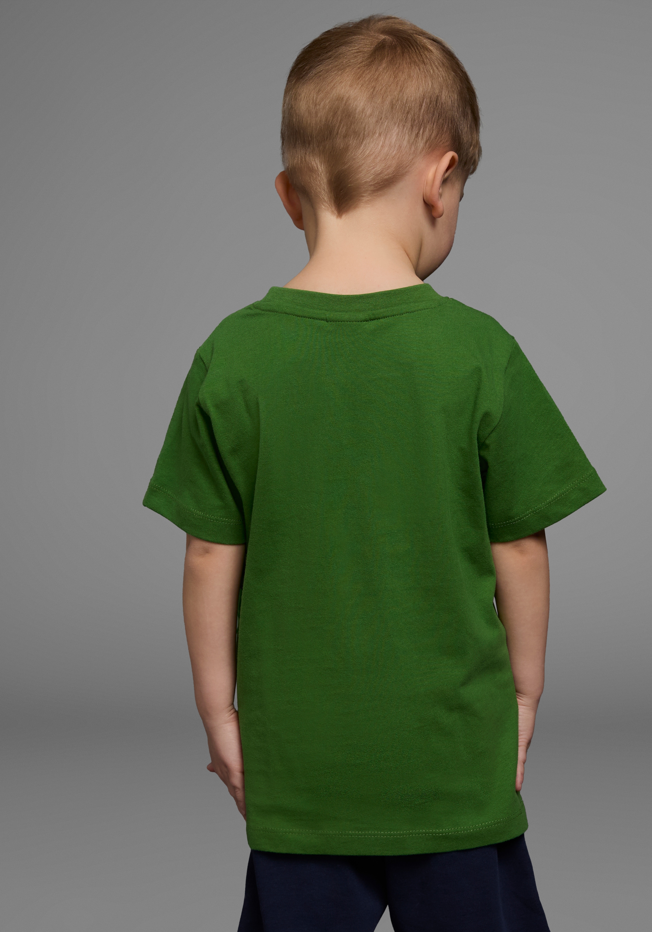 KIDSWORLD T-Shirt »DINOSAURIER«, Kurzarm, Basic-Passform, bedruckt, Rundhalsausschnitt