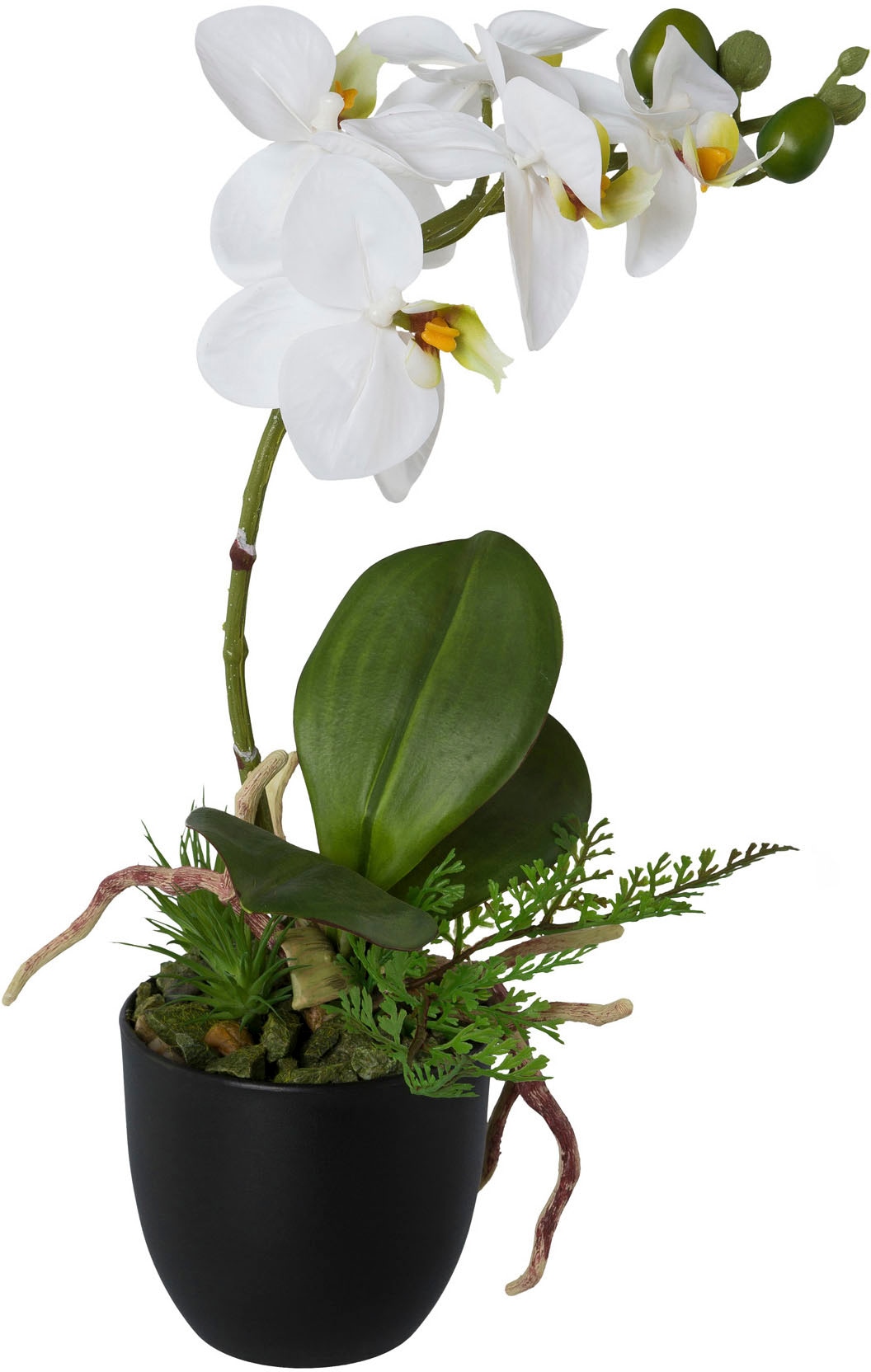 Creativ green Kunstorchidee »Phalaenopsis«, 2er Set, im Kunststofftopf