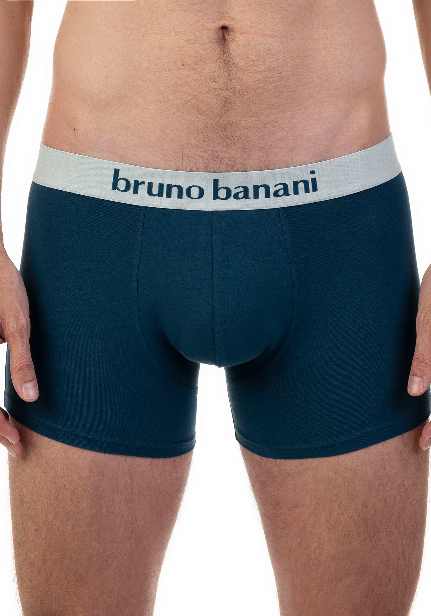 Bruno Banani Retro Pants »Calathea«, (2er Pack), mit Logobund