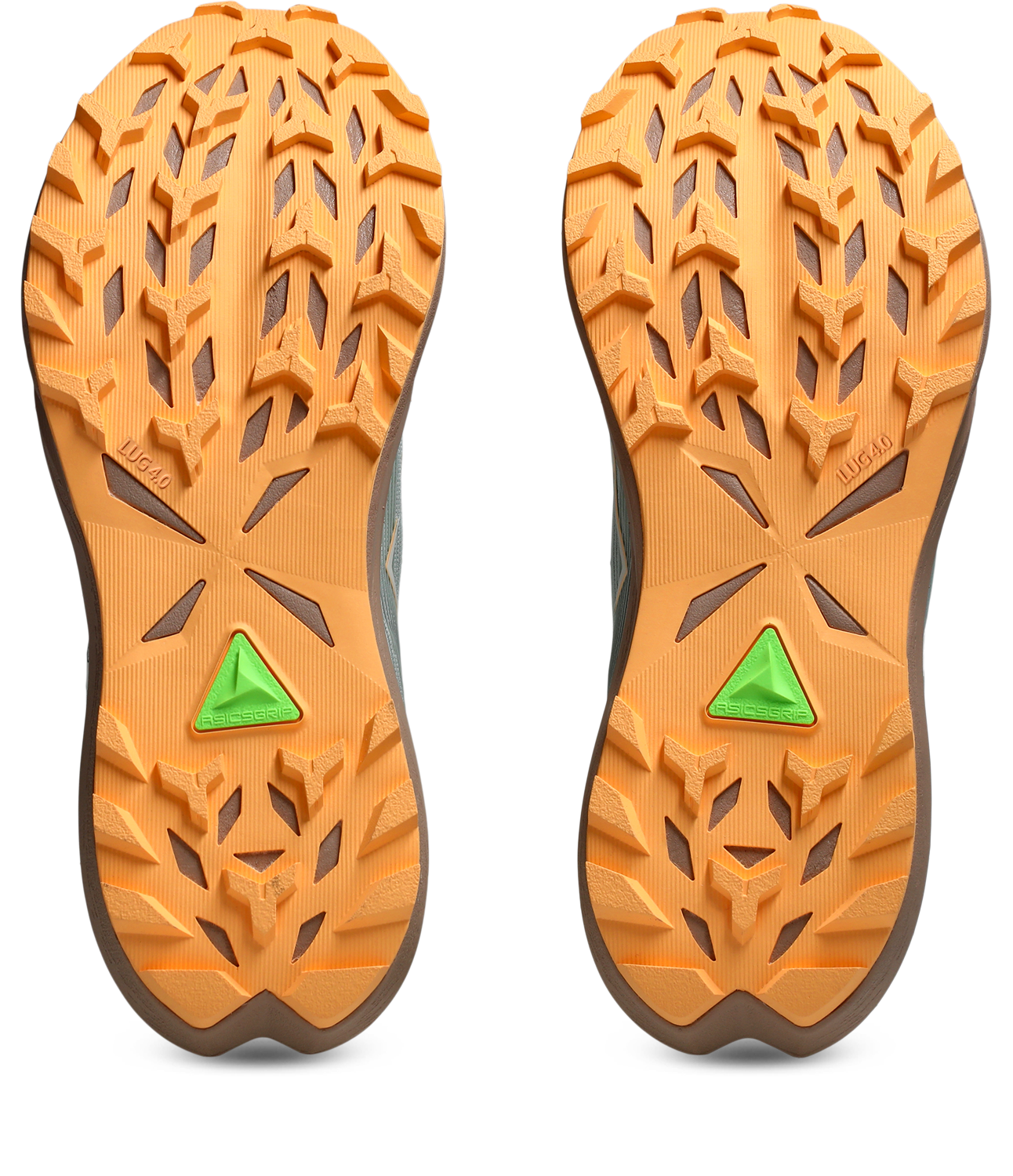Asics Trailrunningschuh »FUJI LITE 6«, leichter Trailrunningschuhe