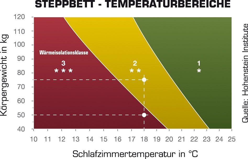 Haeussling Daunenbettdecke »Königstraum 60/40«, warm, Füllung 60% Daunen, 40% Federn, (1 St.)