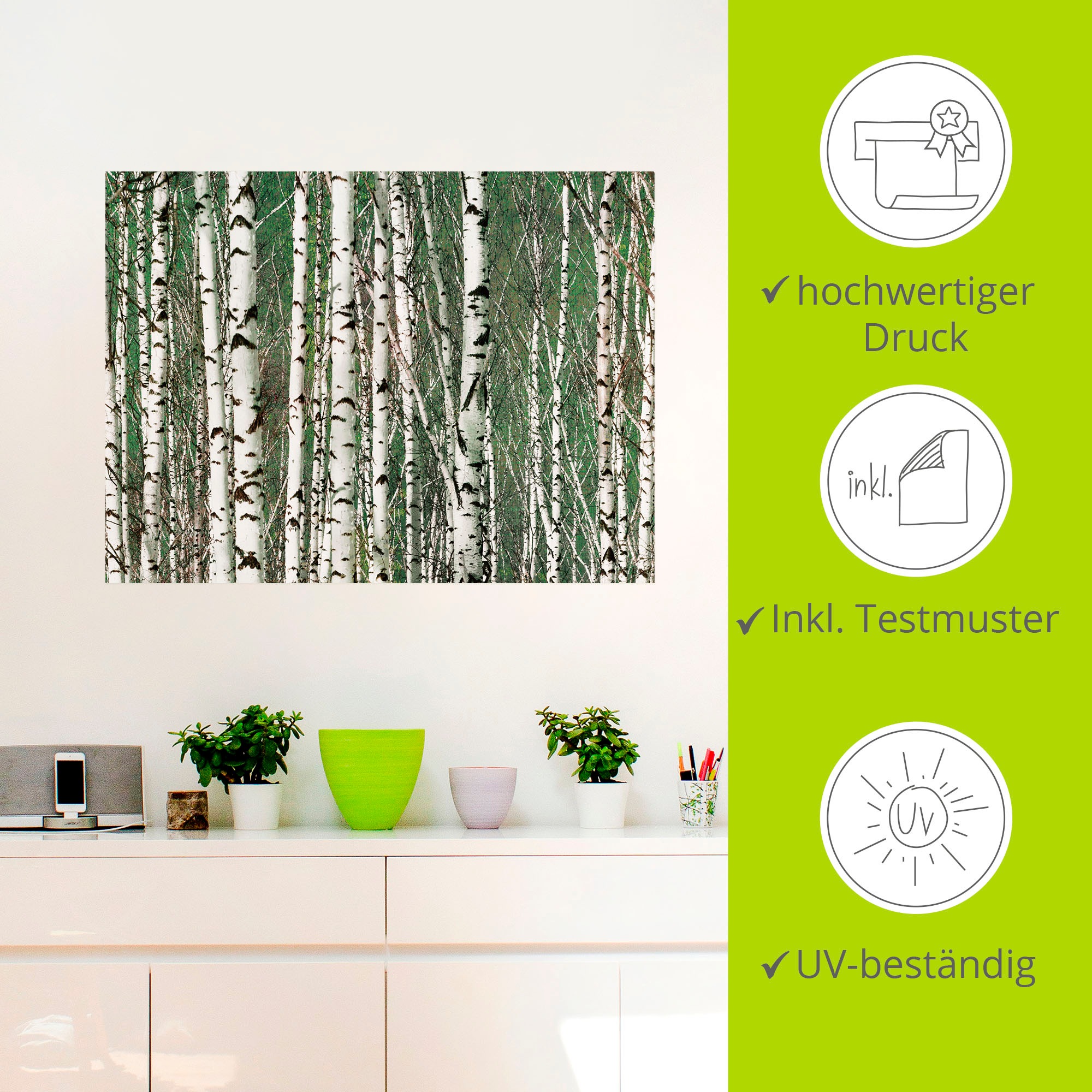 Artland Wandbild »Birkenwald - Bäume«, Bäume, (1 St.), als Leinwandbild, Wandaufkleber in verschied. Grössen