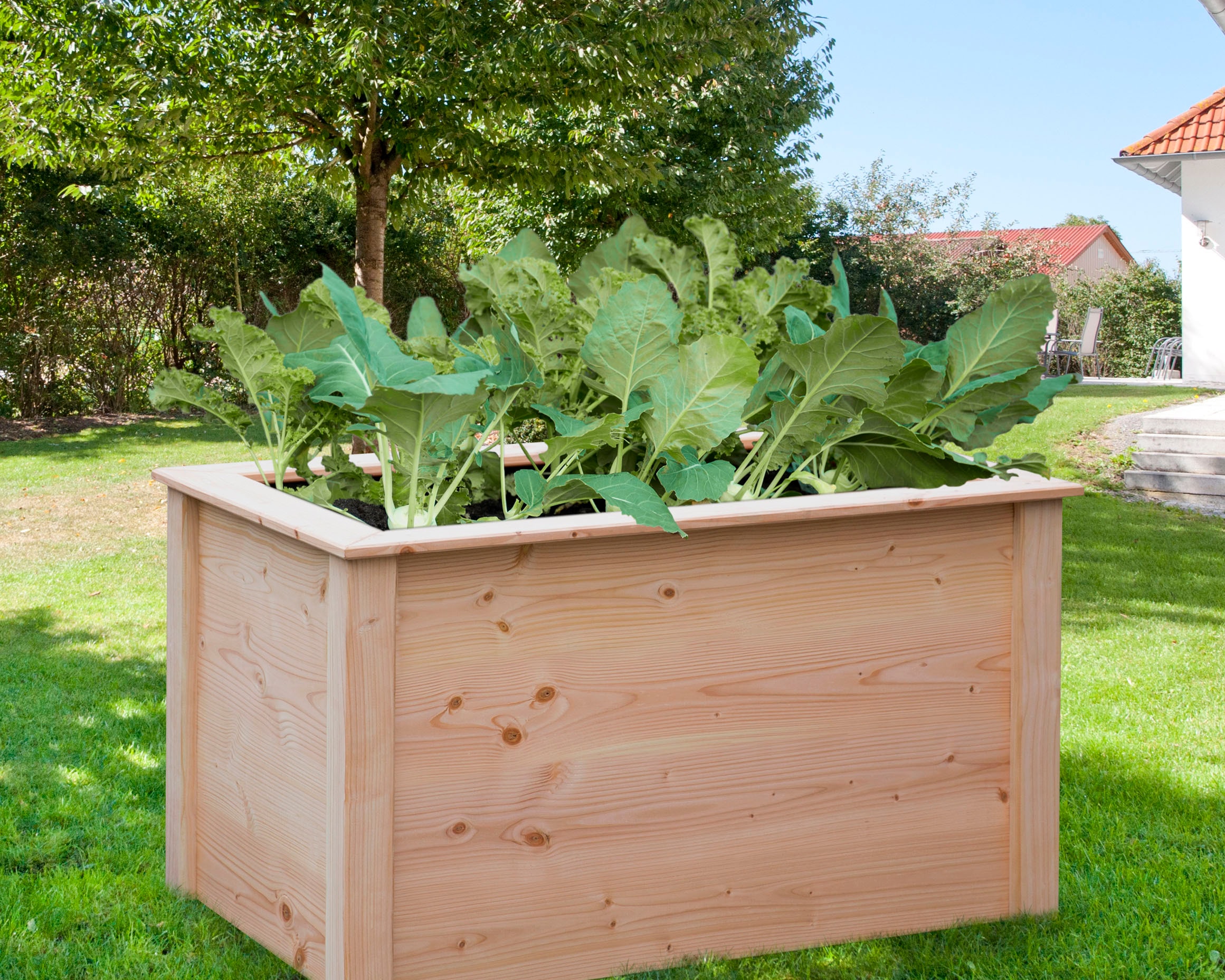 Hochbeet »Douglasie«, BxTxH: 106x65x60 cm, naturbelassen