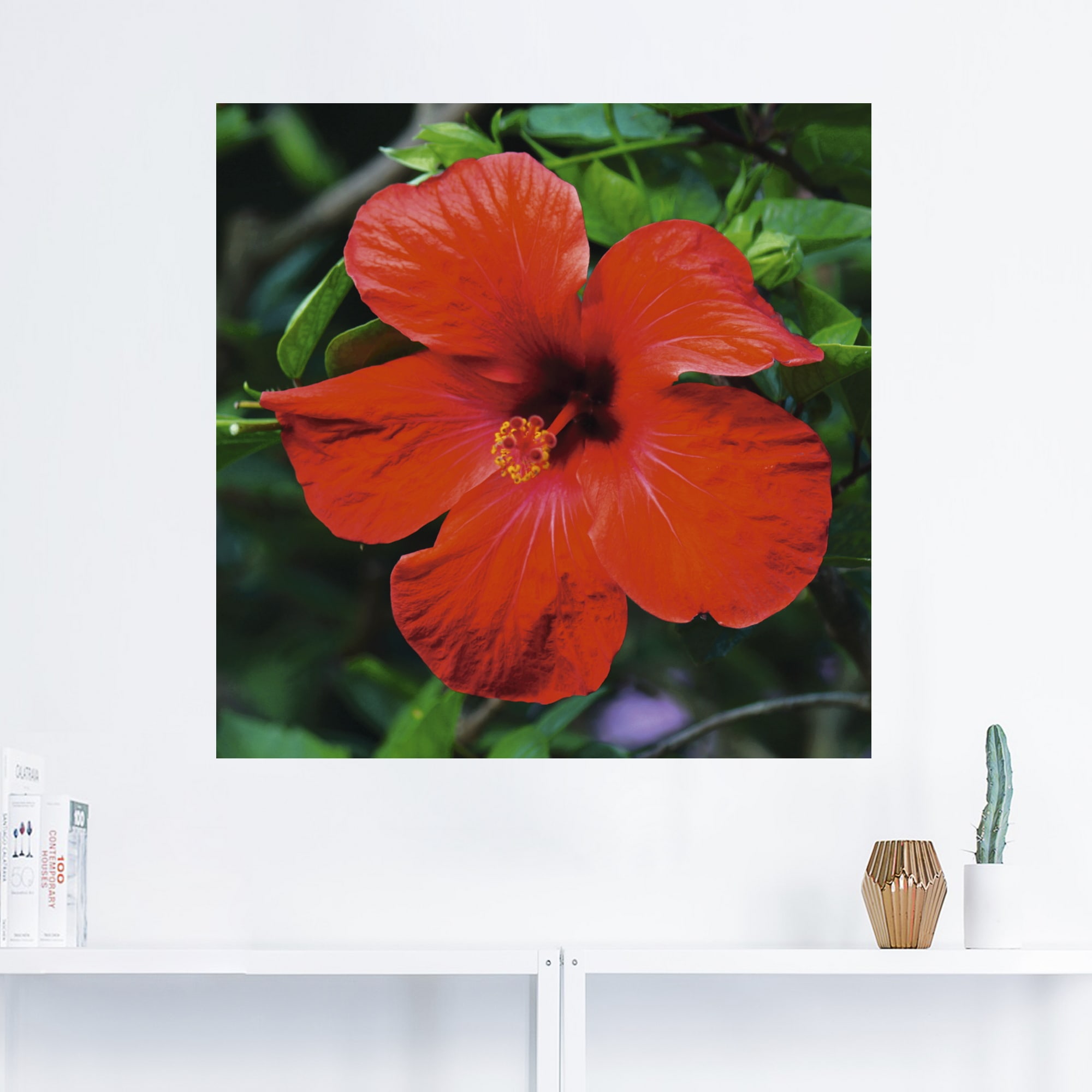 Artland Wandbild »Hawaiiblume«, Blumen, (1 St.), als Alubild, Leinwandbild, Wandaufkleber oder Poster in versch. Grössen