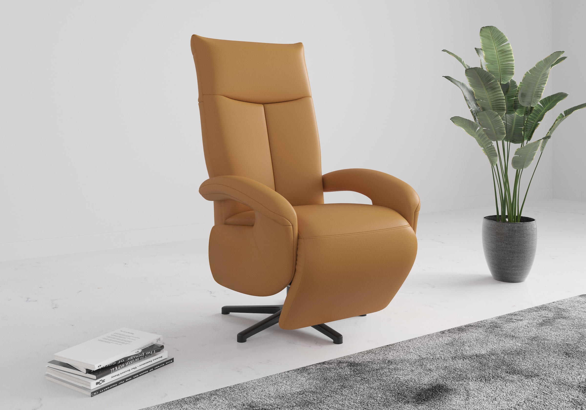 sit&more TV-Sessel "Amica, inkl. Kopfteilverstellung & Drehfunktion" wahlweise mit 2 Motoren, Akku und Aufstehhilfe