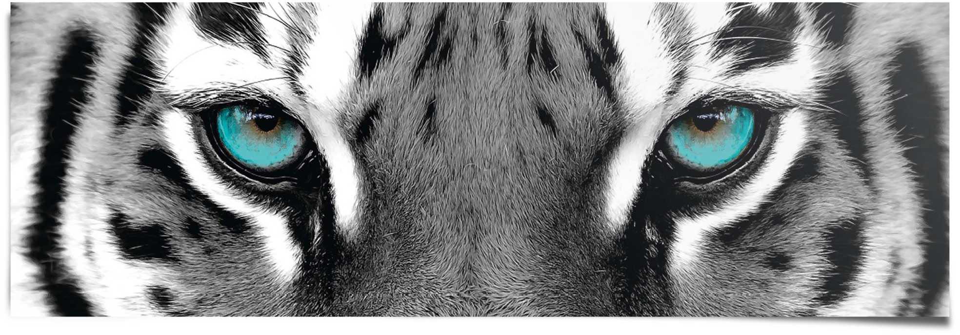 Reinders! Poster »Sibirischer Tiger«