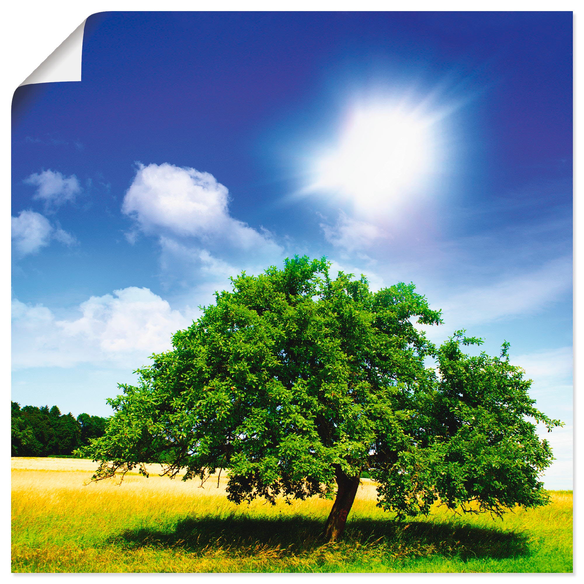 Artland Wandbild »Baum des Lebens«, Bäume, (1 St.), als Alubild,  Leinwandbild, Wandaufkleber oder Poster in versch. Grössen online shoppen |  Jelmoli-Versand